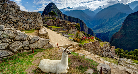 Machu Picchu By Train